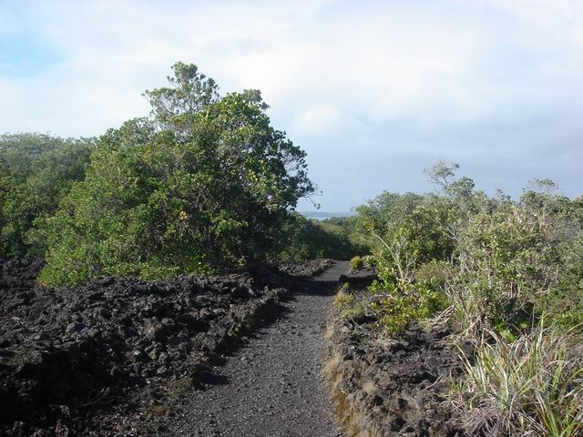 Ile de Rangitoto