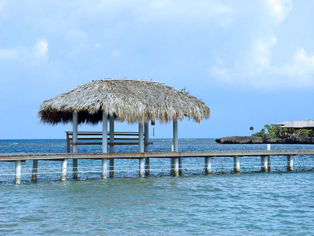 Centre de recherche sur les dauphins, Roatán