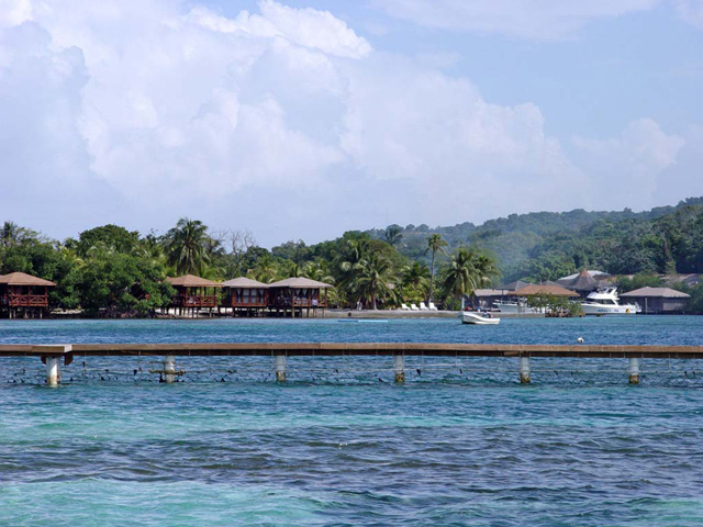 Ile de Roatan