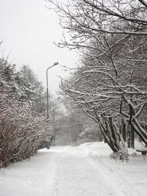 Hiver à Vilnius, Lituanie