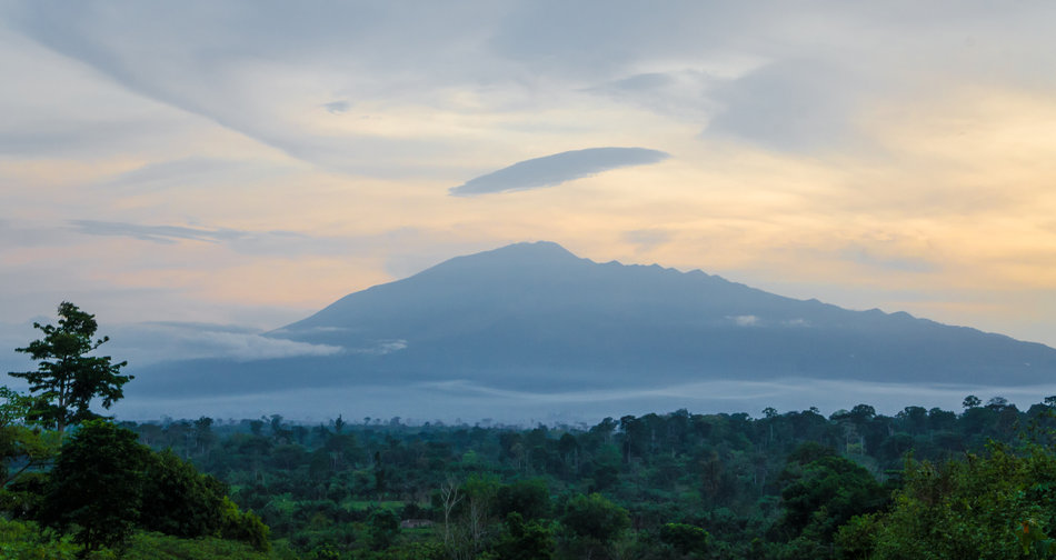 Préparer son voyage pour le Cameroun