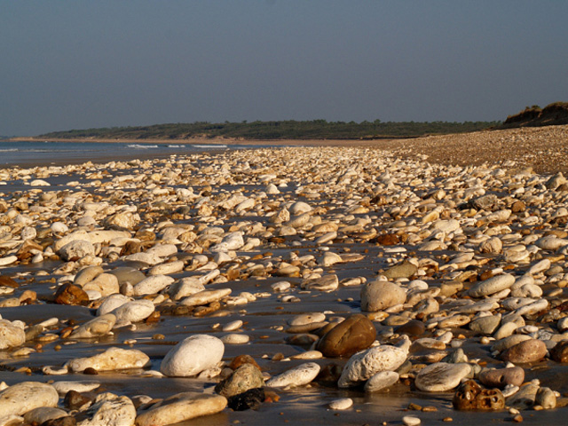 Plage de vert-bois