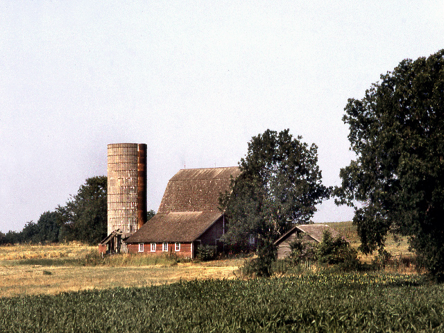 Kansas country