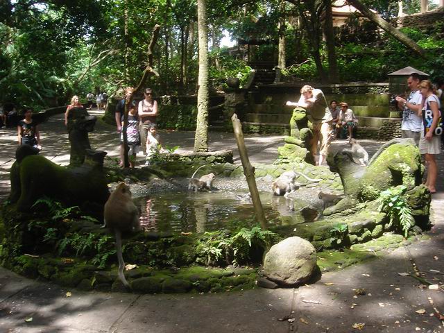 Sacred Monkey Forest Sanctuary