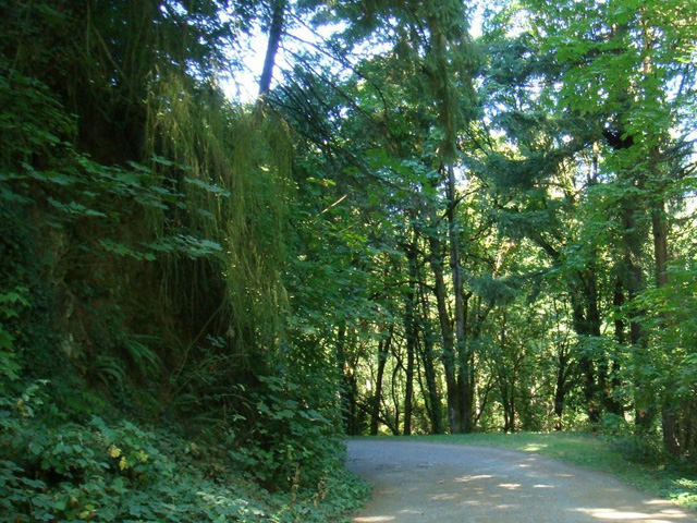 Forest Park (Portland)
