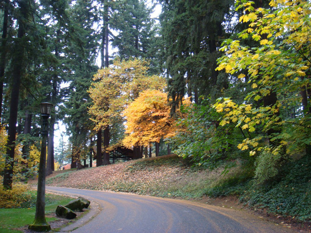 Mt. Tabor Park