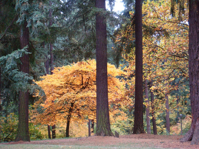 Mount Tabor