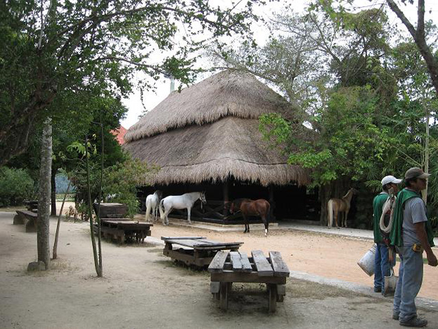 Mexican farm