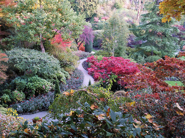 Butchart Gardens