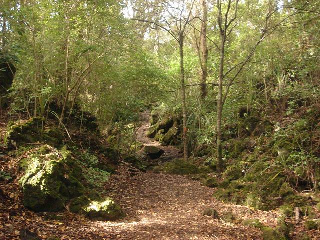 Track to lava caves