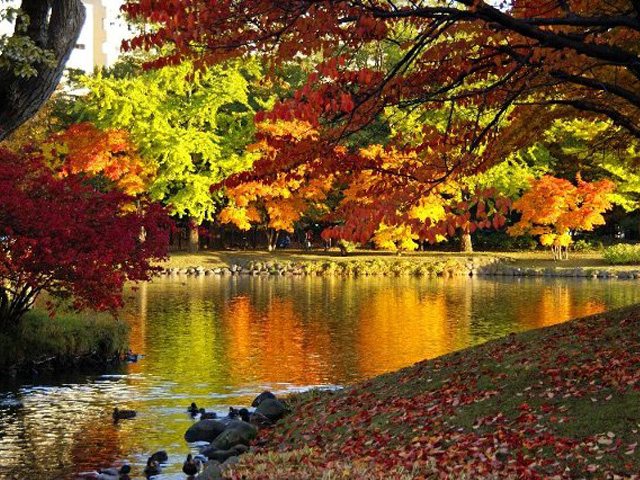 Kamokamo River