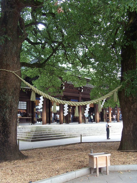 Main yard 