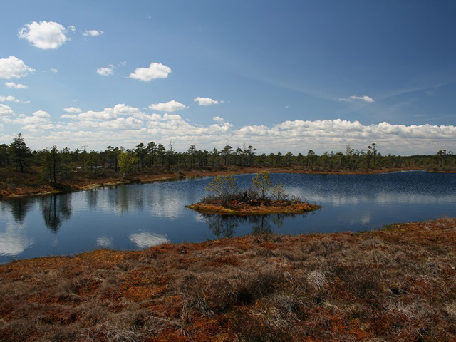 Parc National Kemeri