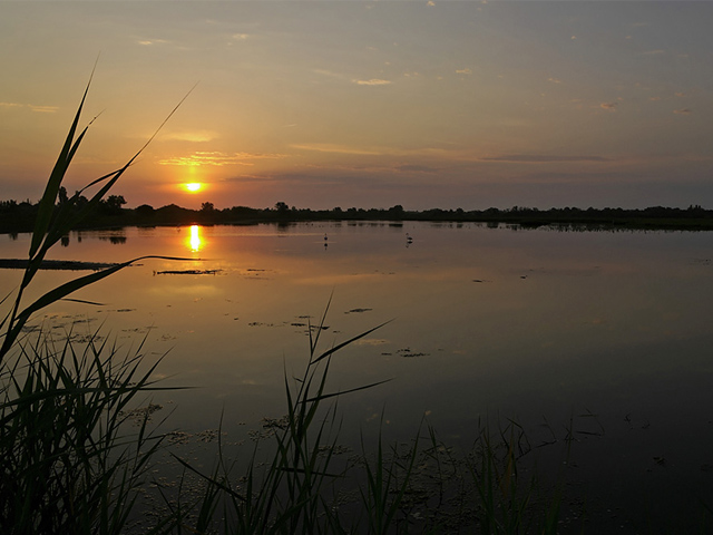 Lagune de Sicarex