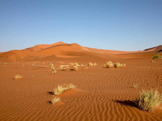 Namib Desert