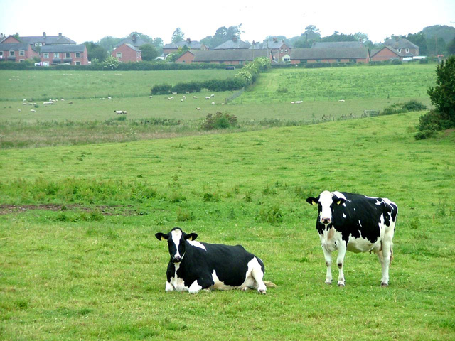 Wormanby Farm land