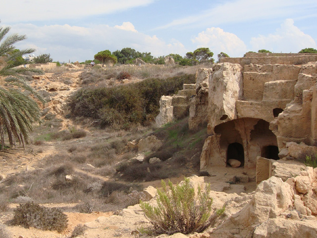 Excavated sites
