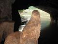 Grotte, parc national de Phong Nha-Ke Bang