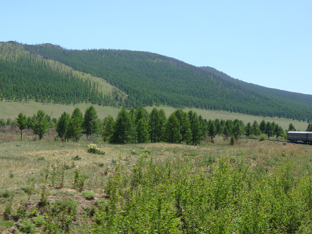 Mongolian landscape