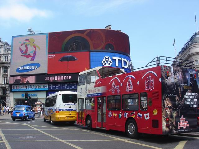 Bus