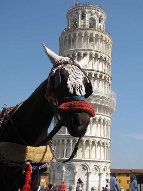 Tower of Pisa