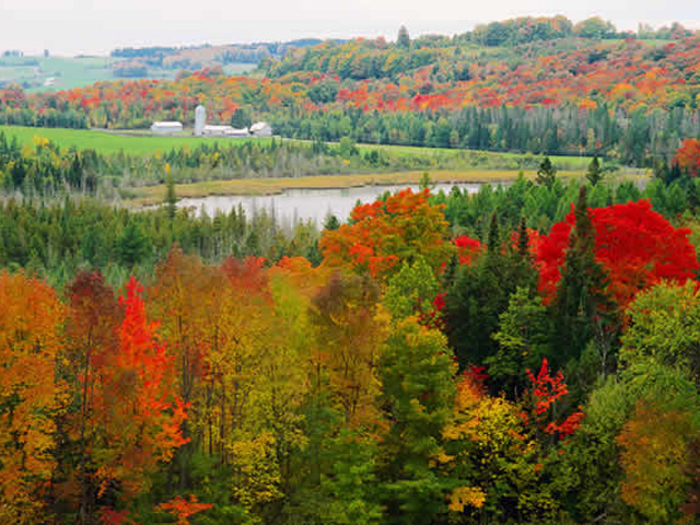 Vermont hillside