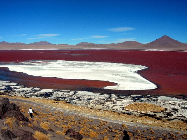 Red Lagoon