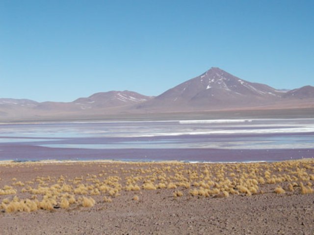 Laguna Colorada Potosi