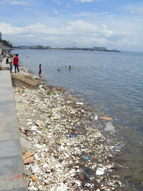 Malate coast