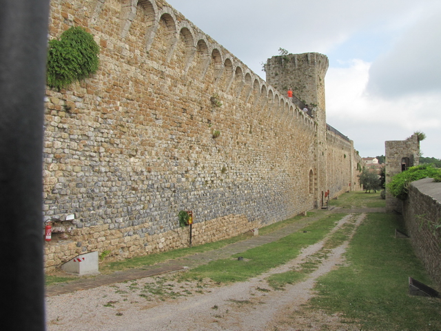 Medieval Wall