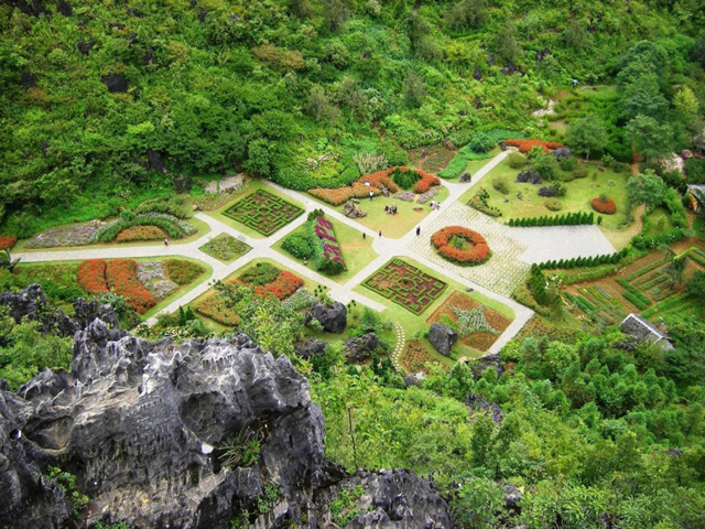 Sapa garden