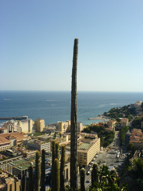 Monaco botanical garden