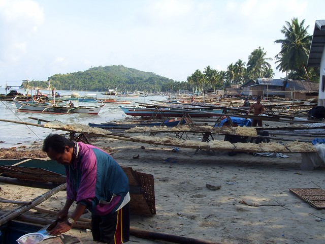 San Vicente (Palawan)