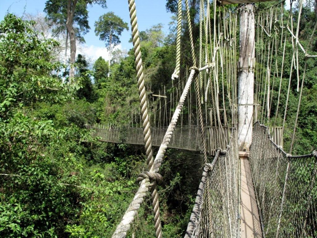 Parc National Kakum