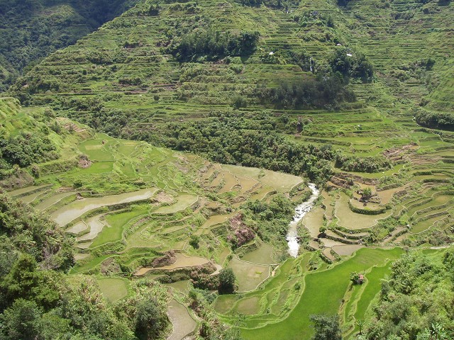 Rizieres de Banaue