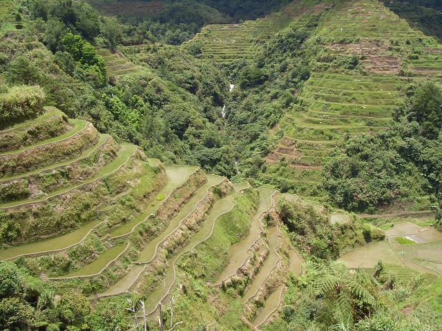 Ifugao Rice Terraces