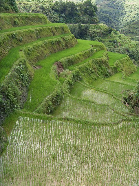 Terraces