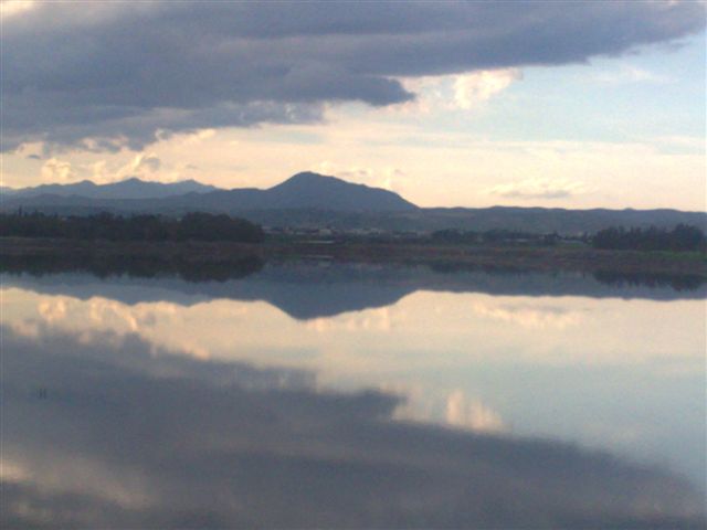 Lac salé de Larnaca