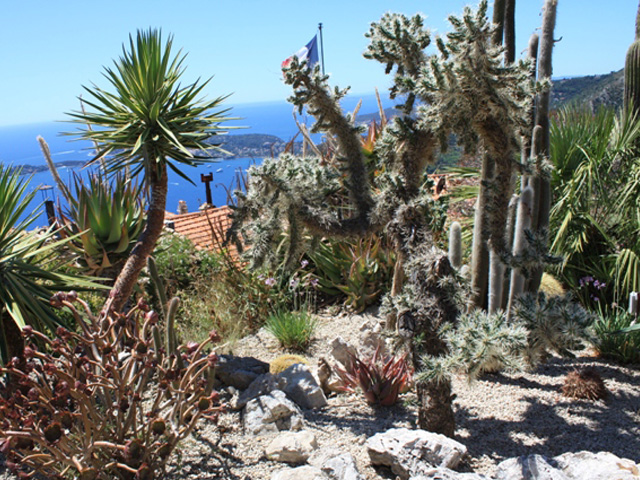 Jardin botanique