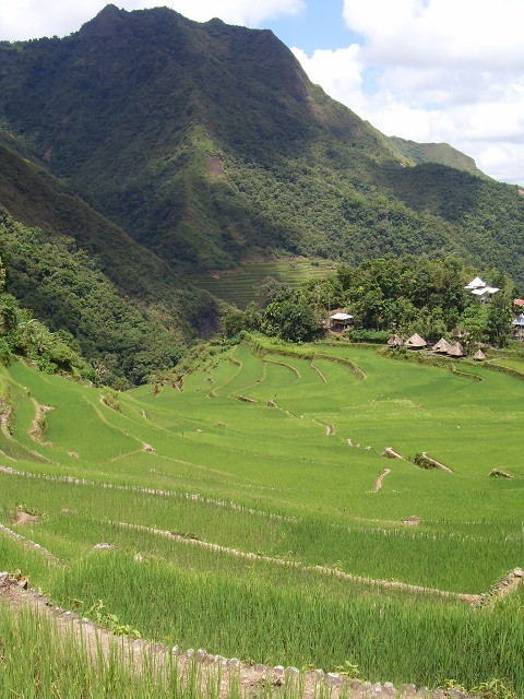 Batad rice terraces