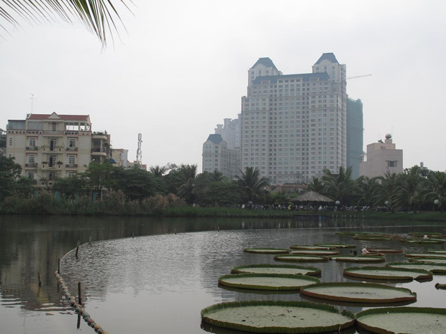 Binh Thanh district