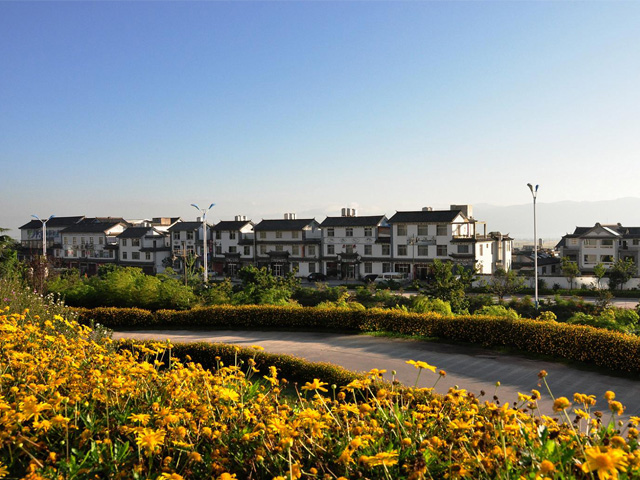 Traditional houses