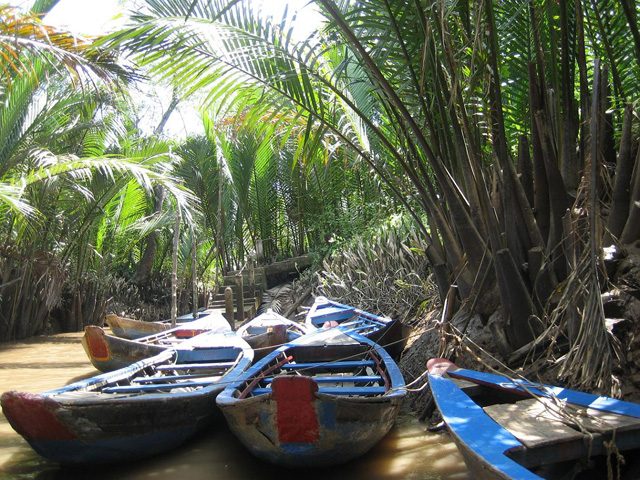 Coconut and boat