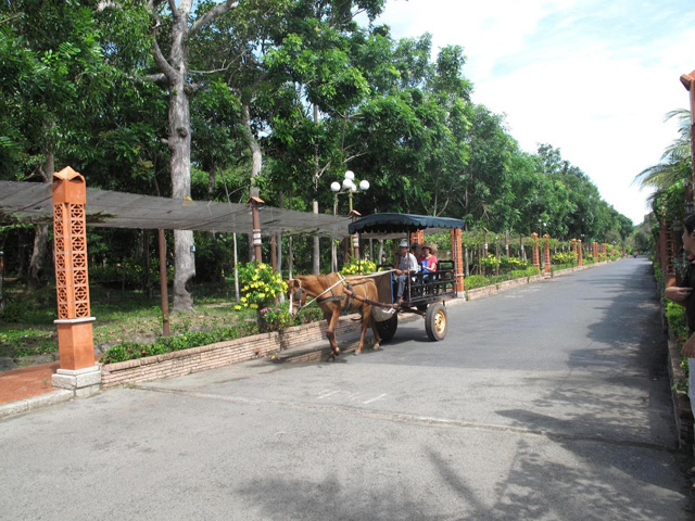 Horse Cart, Binh Chau Hot Spring