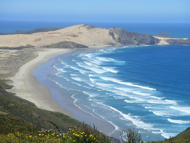 Tasman Sea