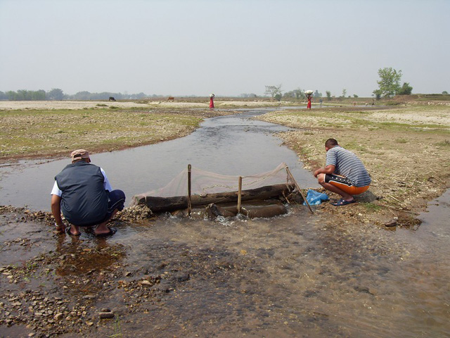 Chaaraali fishing field