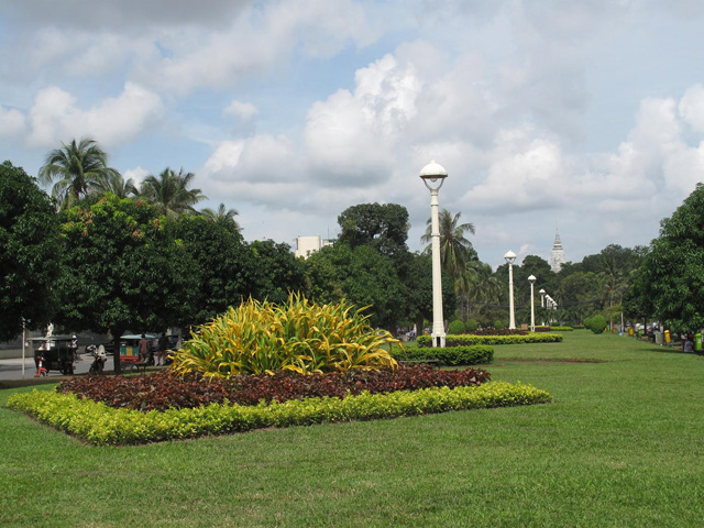 Daun Penh park