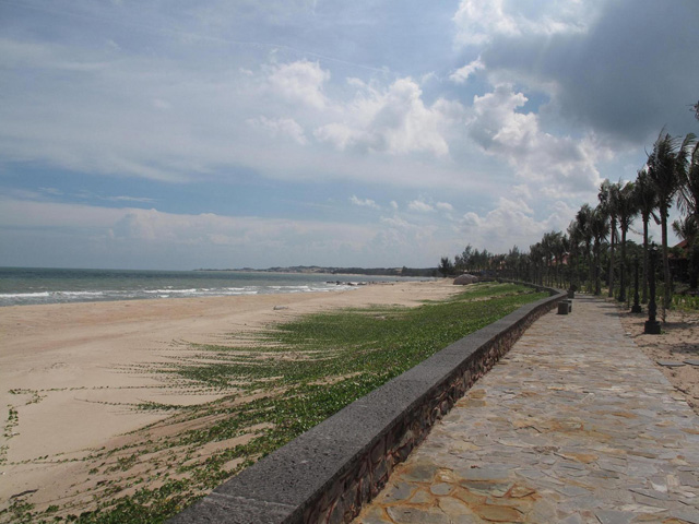 Shady trees, Ho Coc beach