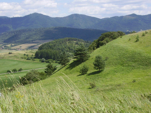 Hodkovce village