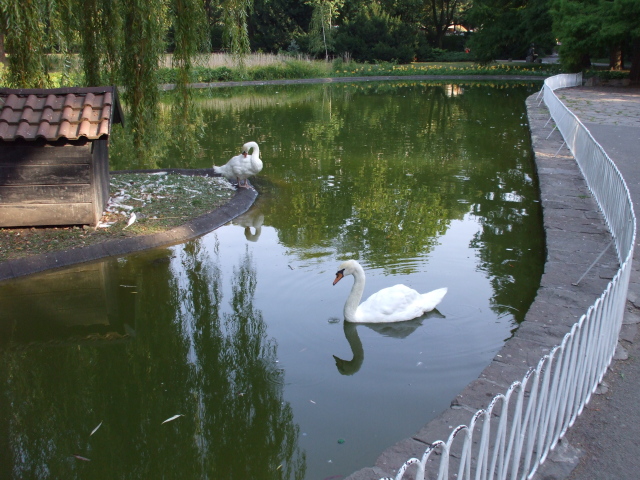 Isa i Bisa, Dunavski park